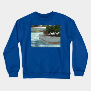 Should I swim or should I fly? Crewneck Sweatshirt